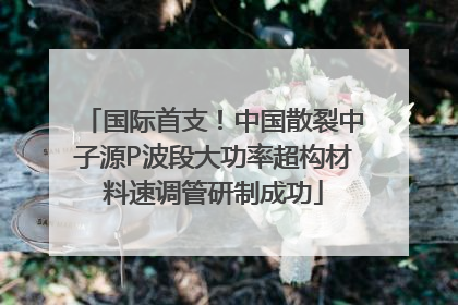 国际首支！中国散裂中子源P波段大功率超构材料速调管研制成功