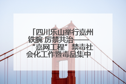 四川乐山举行嘉州铁腕 厉禁共治——“嘉网工程”禁毒社会化工作暨毒品集中销毁启动仪式