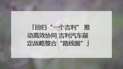 回归“一个吉利” 推动高效协同 吉利汽车敲定战略整合“路线图”