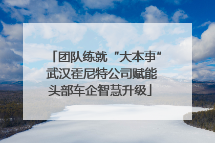 团队练就“大本事” 武汉霍尼特公司赋能头部车企智慧升级