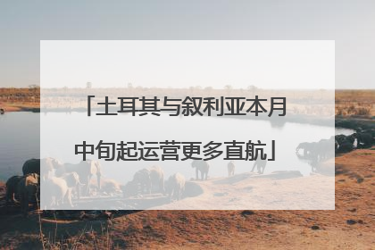 土耳其与叙利亚本月中旬起运营更多直航