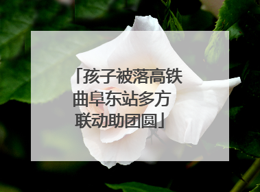 孩子被落高铁 曲阜东站多方联动助团圆