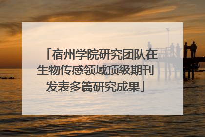 宿州学院研究团队在生物传感领域顶级期刊发表多篇研究成果