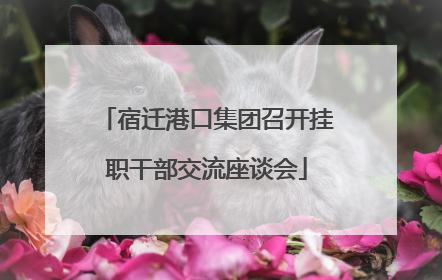 宿迁港口集团召开挂职干部交流座谈会