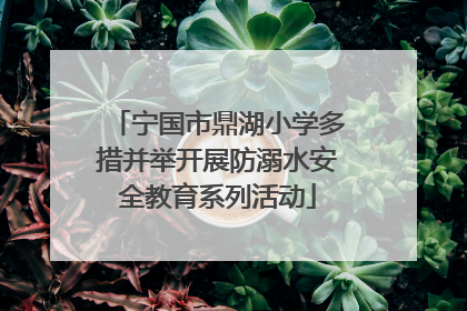 宁国市鼎湖小学多措并举开展防溺水安全教育系列活动