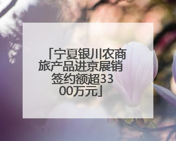 宁夏银川农商旅产品进京展销 签约额超3300万元
