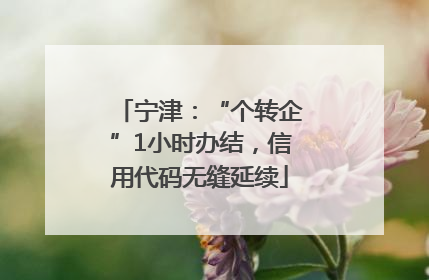 宁津：“个转企”1小时办结，信用代码无缝延续