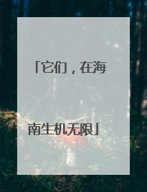 它们，在海南生机无限