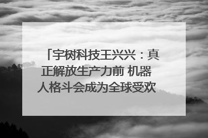 宇树科技王兴兴：真正解放生产力前 机器人格斗会成为全球受欢迎的赛事｜科技观察