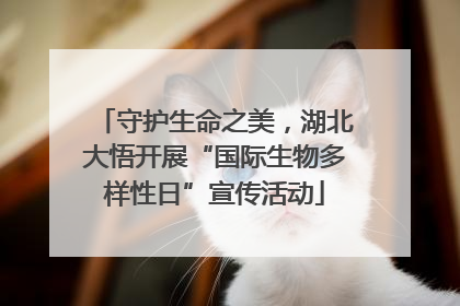 守护生命之美，湖北大悟开展“国际生物多样性日”宣传活动