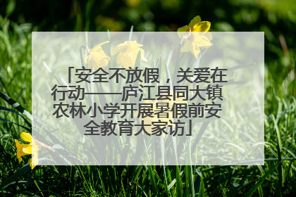 安全不放假，关爱在行动——庐江县同大镇农林小学开展暑假前安全教育大家访