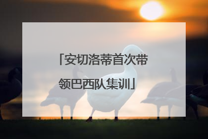 安切洛蒂首次带领巴西队集训