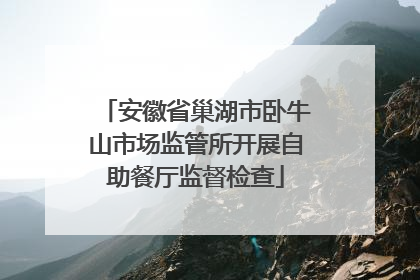 安徽省巢湖市卧牛山市场监管所开展自助餐厅监督检查