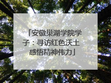 安徽巢湖学院学子：寻访红色沃土 感悟精神伟力