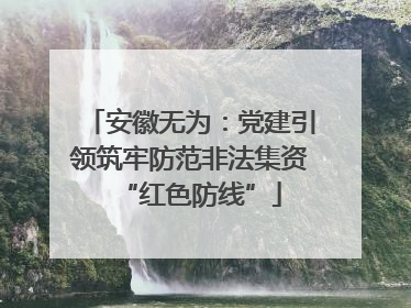 安徽无为：党建引领筑牢防范非法集资“红色防线”