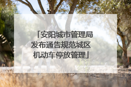 安阳城市管理局发布通告规范城区机动车停放管理