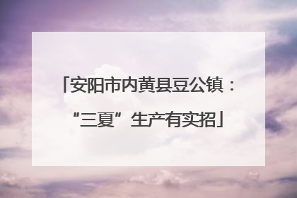 安阳市内黄县豆公镇：“三夏”生产有实招