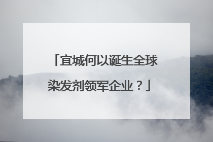宜城何以诞生全球染发剂领军企业？