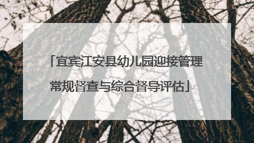 宜宾江安县幼儿园迎接管理常规督查与综合督导评估