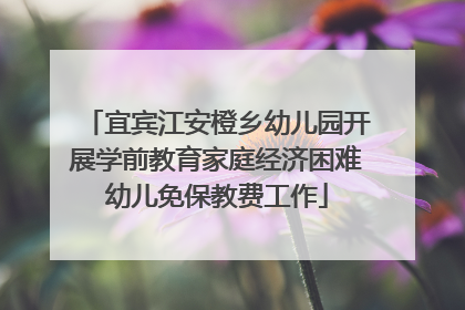 宜宾江安橙乡幼儿园开展学前教育家庭经济困难幼儿免保教费工作