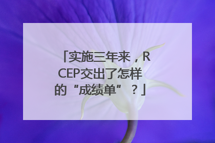 实施三年来，RCEP交出了怎样的“成绩单”？