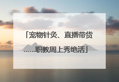 宠物针灸、直播带货……职教周上秀绝活