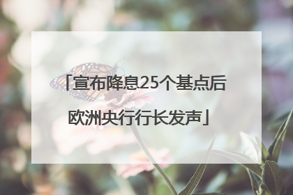 宣布降息25个基点后 欧洲央行行长发声