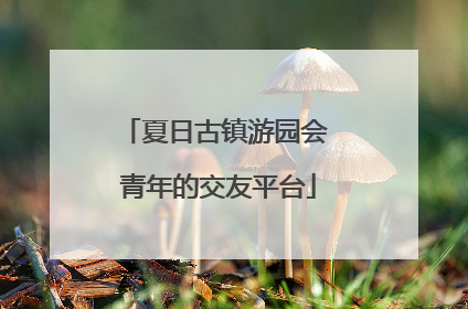 夏日古镇游园会 青年的交友平台