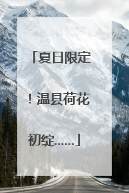 夏日限定！温县荷花初绽……