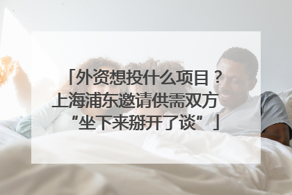 外资想投什么项目？上海浦东邀请供需双方“坐下来掰开了谈”