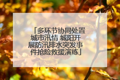 多环节协同处置城市汛情 城阳开展防汛排水突发事件抢险救援演练