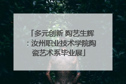 多元创新 陶艺生辉：汝州职业技术学院陶瓷艺术系毕业展
