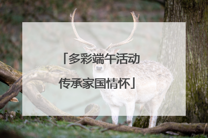 多彩端午活动 传承家国情怀