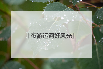 夜游运河好风光