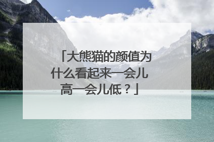 大熊猫的颜值为什么看起来一会儿高一会儿低？