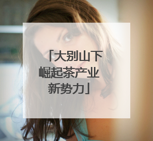 大别山下崛起茶产业新势力