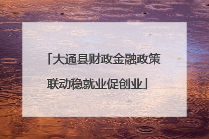 大通县财政金融政策联动稳就业促创业