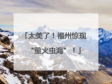 太美了！福州惊现“萤火虫海”！