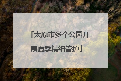 太原市多个公园开展夏季精细管护