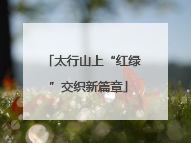太行山上“红绿”交织新篇章