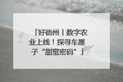 好德州丨数字农业上线！探寻车厘子“甜蜜密码”