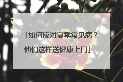 如何应对夏季常见病？他们这样送健康上门