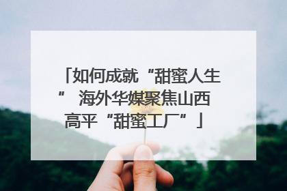 如何成就“甜蜜人生” 海外华媒聚焦山西高平“甜蜜工厂”