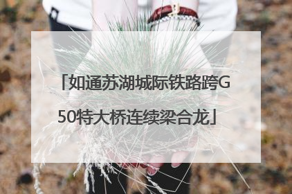 如通苏湖城际铁路跨G50特大桥连续梁合龙