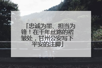 忠诚为墨、担当为锋！在千年丝路的褶皱处，甘州公安写下平安的注脚