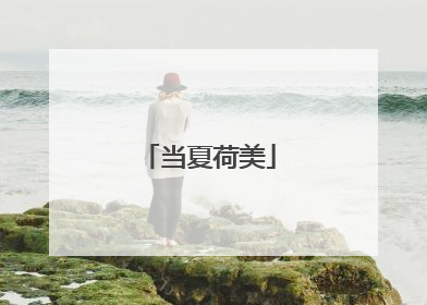当夏荷美