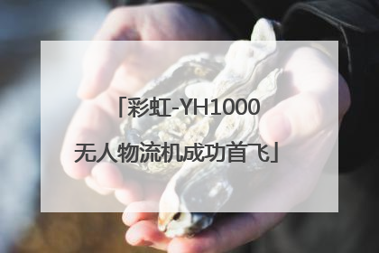 彩虹-YH1000无人物流机成功首飞