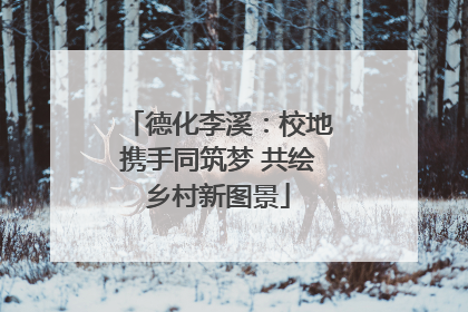德化李溪：校地携手同筑梦 共绘乡村新图景
