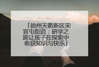 德州天衢新区宋官屯街道：研学之旅让孩子在探索中收获知识与快乐