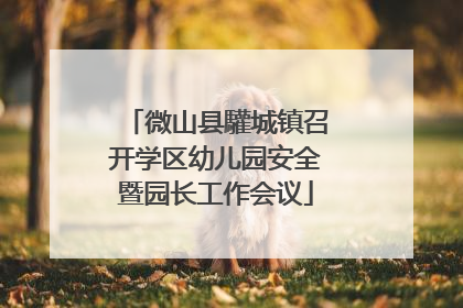 微山县驩城镇召开学区幼儿园安全暨园长工作会议